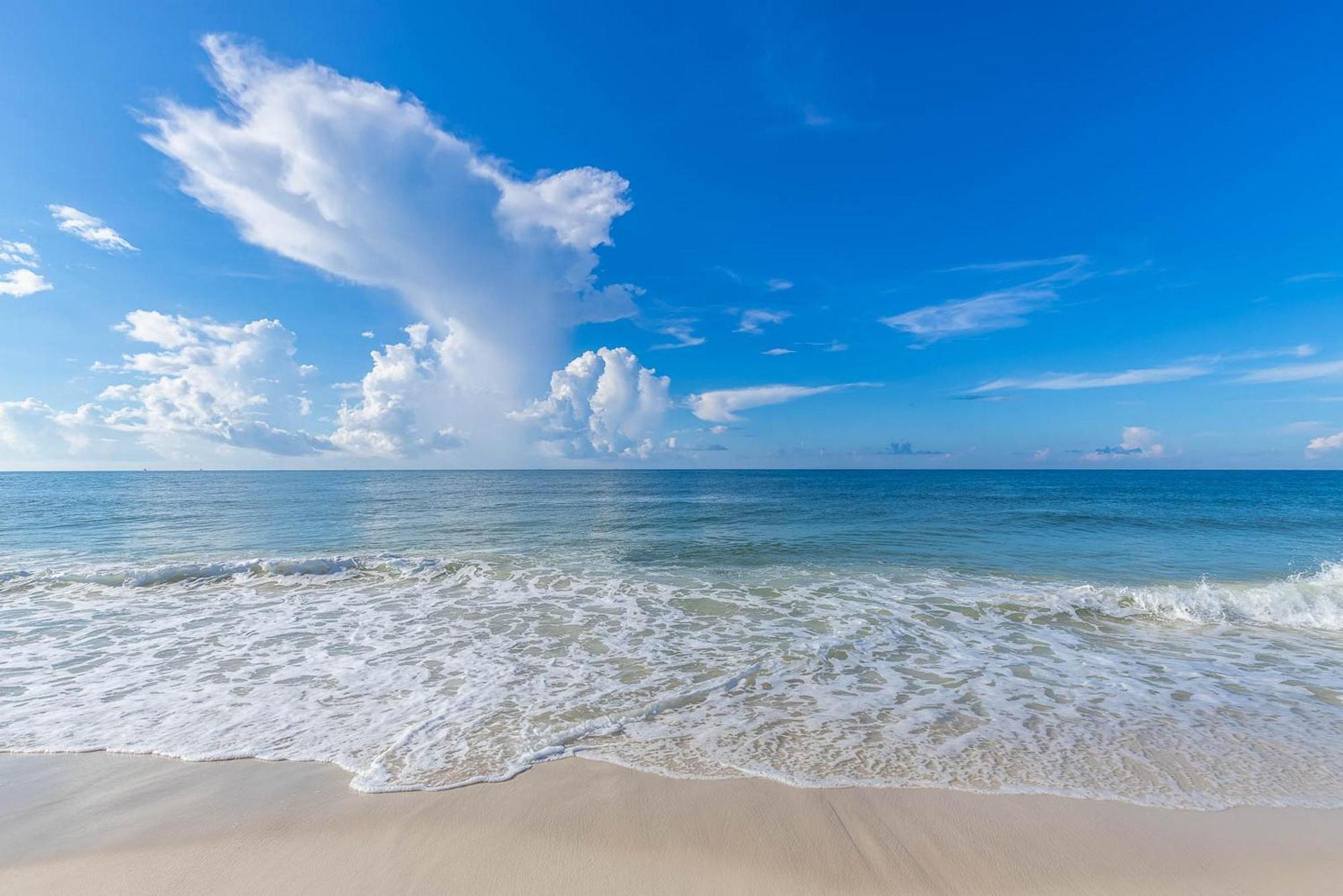 Phoenix VI By Brett Robinson Orange Beach Dış mekan fotoğraf